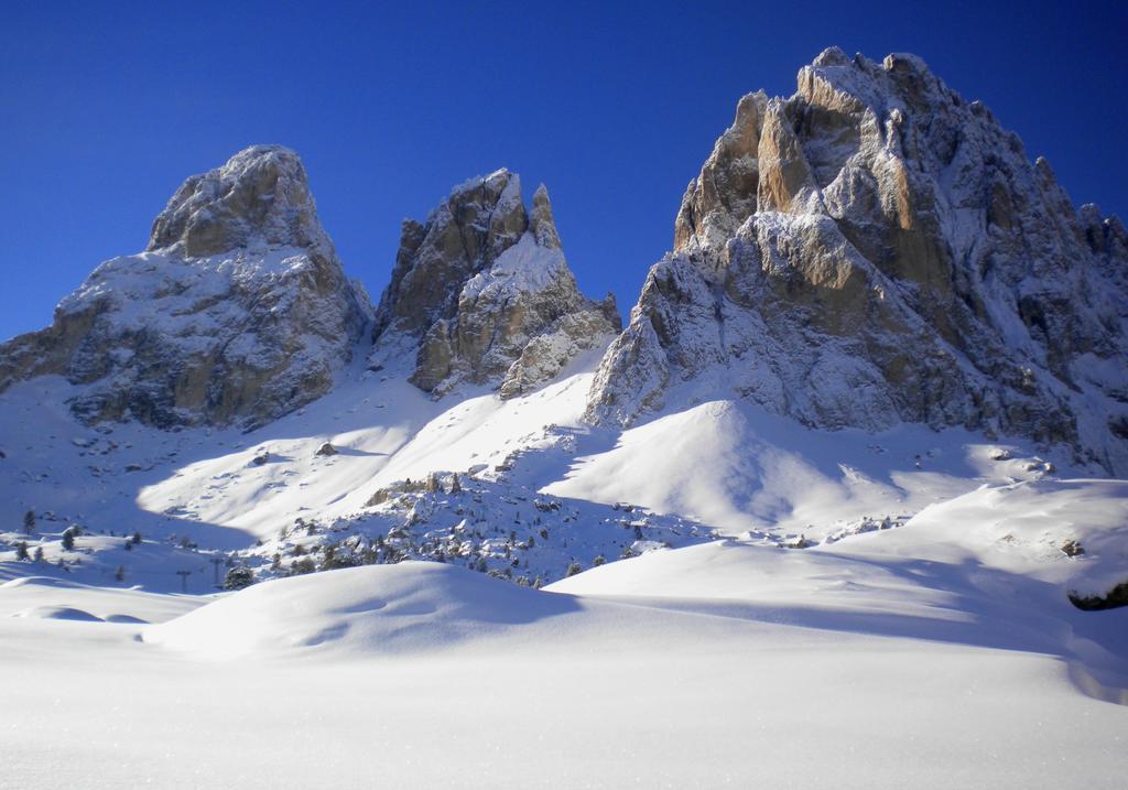 Residence Villa Artic Campitello di Fassa Exterior photo